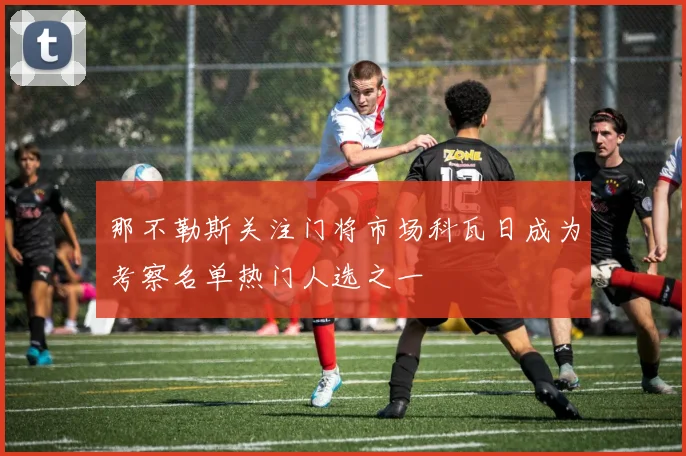 那不勒斯关注门将市场科瓦日成为考察名单热门人选之一